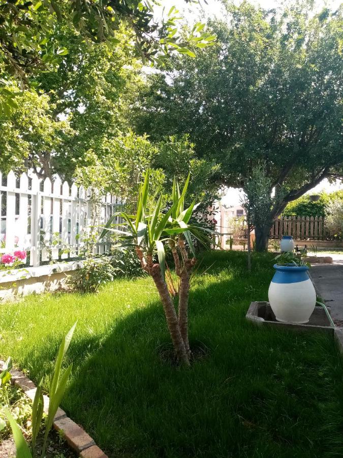 Le Flamant Rose Bed and Breakfast Salin-de-Giraud Buitenkant foto