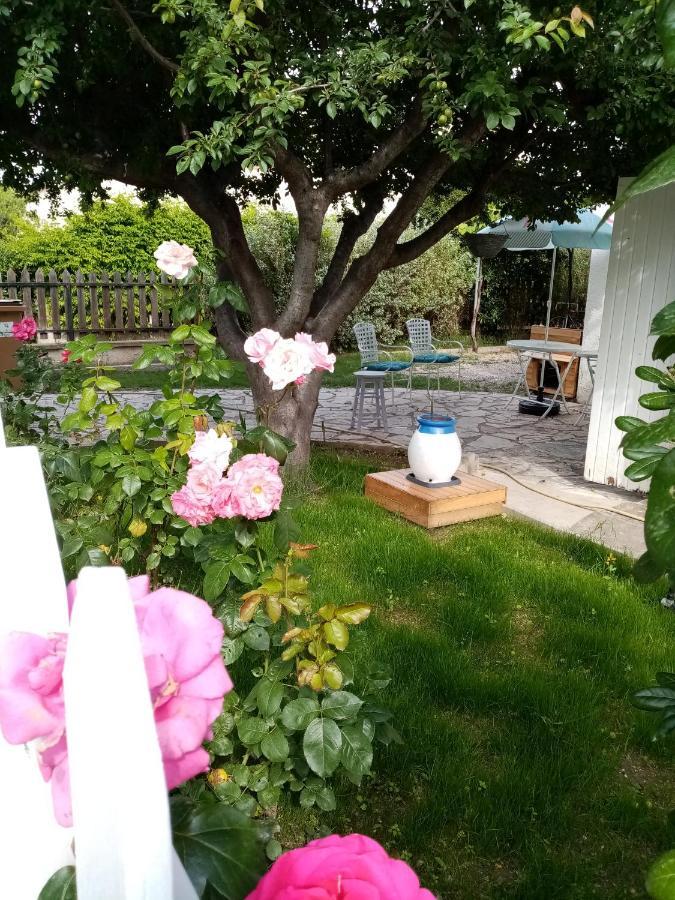 Le Flamant Rose Bed and Breakfast Salin-de-Giraud Buitenkant foto