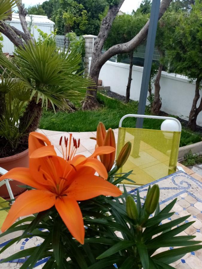 Le Flamant Rose Bed and Breakfast Salin-de-Giraud Buitenkant foto