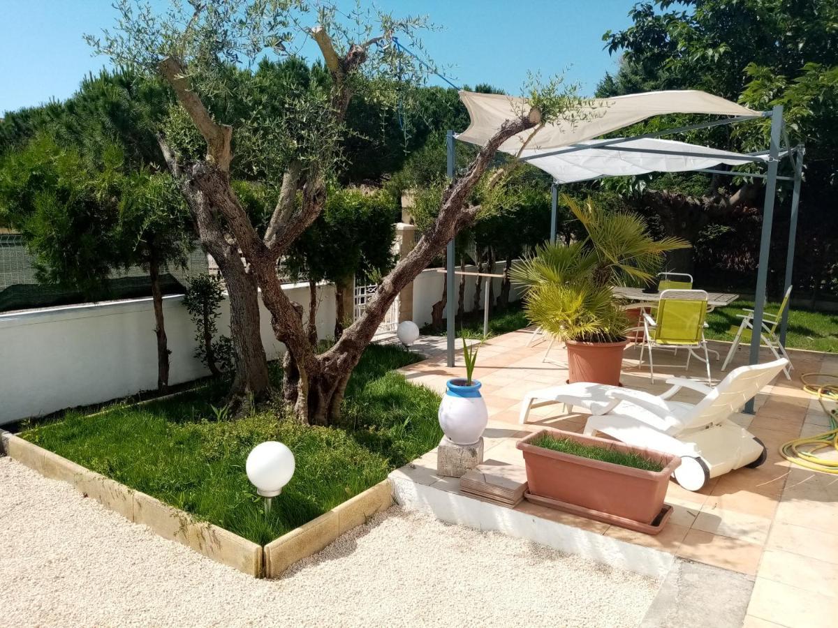 Le Flamant Rose Bed and Breakfast Salin-de-Giraud Buitenkant foto