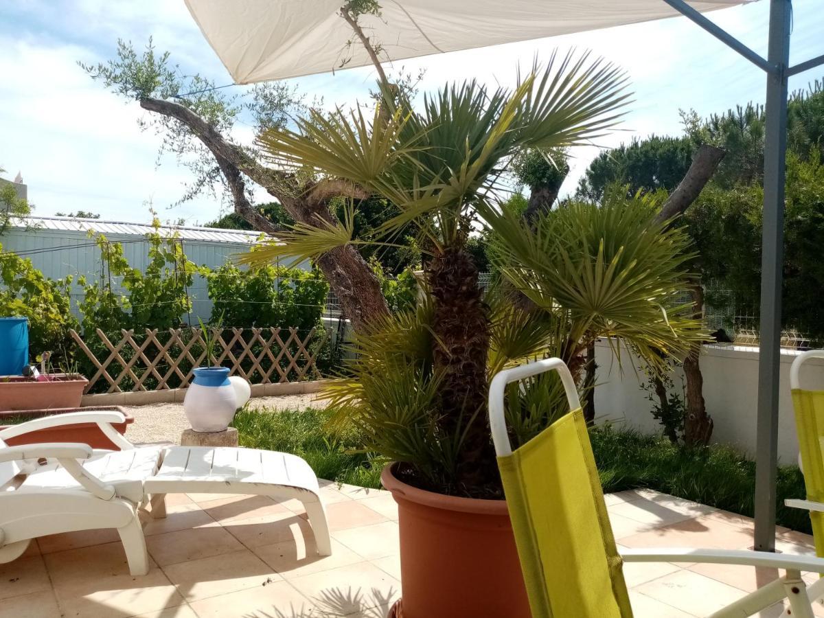 Le Flamant Rose Bed and Breakfast Salin-de-Giraud Buitenkant foto