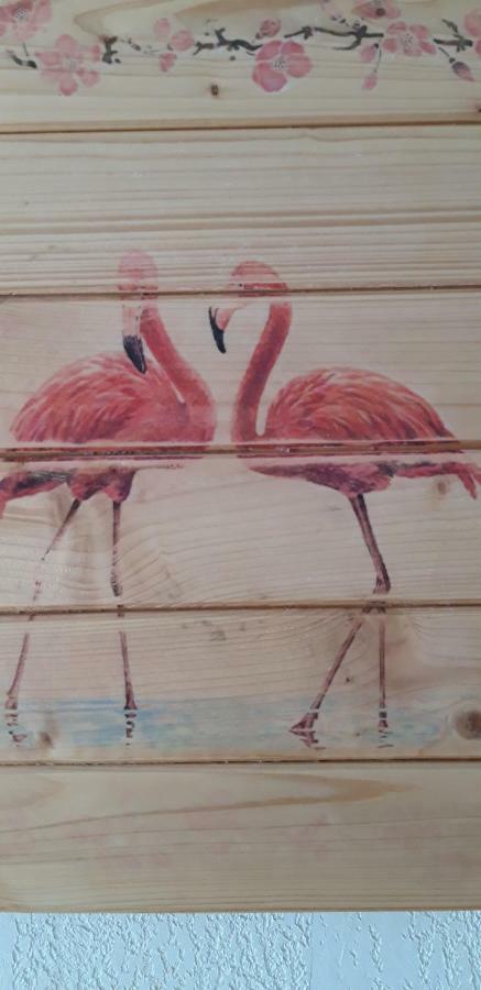Le Flamant Rose Bed and Breakfast Salin-de-Giraud Buitenkant foto